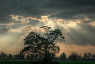 Nublado jigsaw puzzle