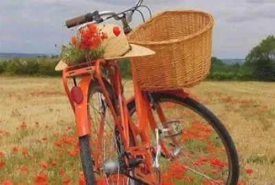 bicicleta