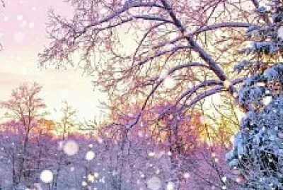 Inverno