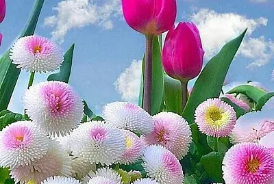 Flores jigsaw puzzle