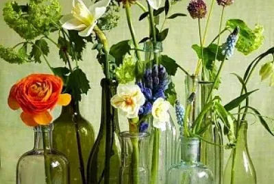 botellas