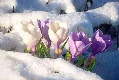 naturaleza