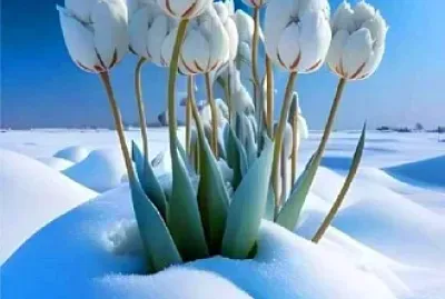 naturaleza