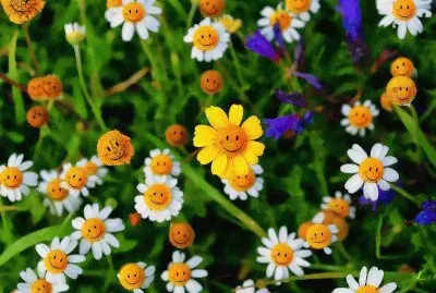 Ca 297 jigsaw puzzle