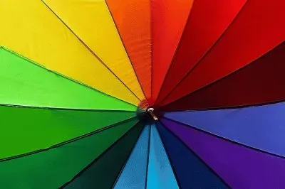 foto 281 jigsaw puzzle