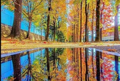 Reflejo