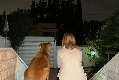 מחכה