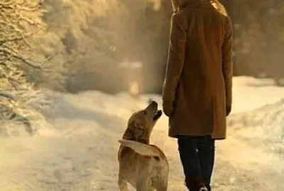 persona jigsaw puzzle