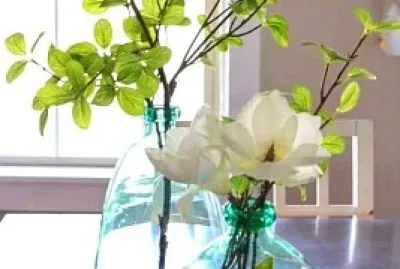 botellas