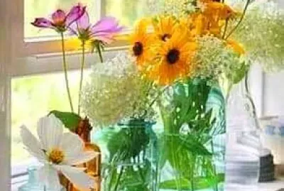 flores