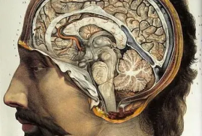 Neurociencia