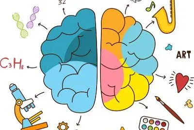 Neurociencia jigsaw puzzle