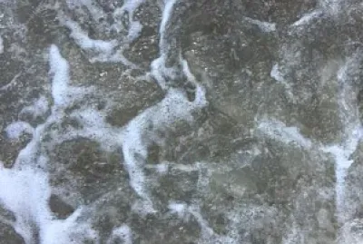 Espuma de Playa