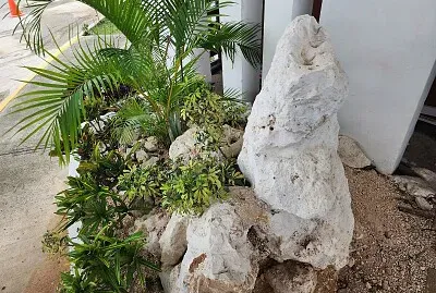 En Cancún MX