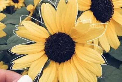 No sé jigsaw puzzle