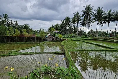 Ubud