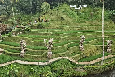 Park Alas Harum Bali