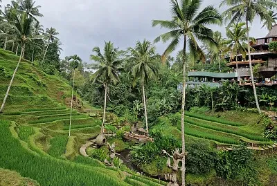 Park Alas Harum Bali