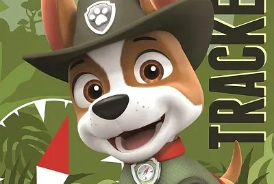 Arma y descubre el rompecabezas. jigsaw puzzle