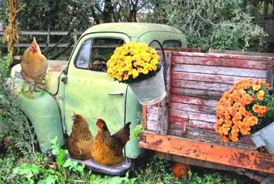 animales