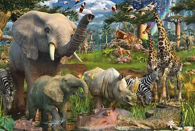 Safari