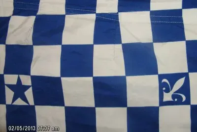 ESTRELLA Y FLECHA AZUL