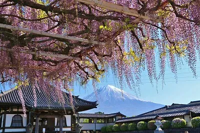 imagem jigsaw puzzle