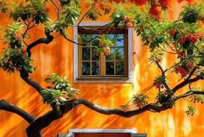 Ventanas
