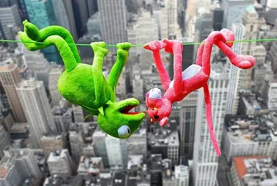 Toy