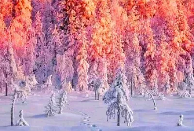 naturaleza