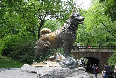 The Heroic Dog