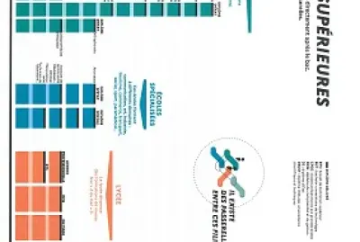 Schéma Etudes Supérieures