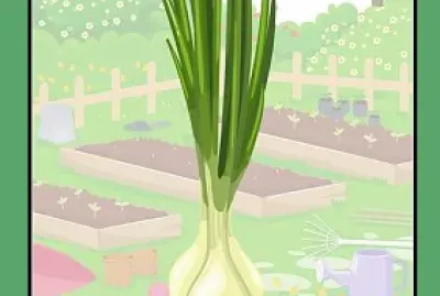 verdeturi de primavara