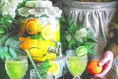 alimentos