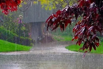 lluvia jigsaw puzzle