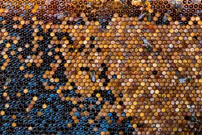Toy jigsaw puzzle