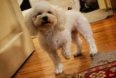 Nilda G jigsaw puzzle