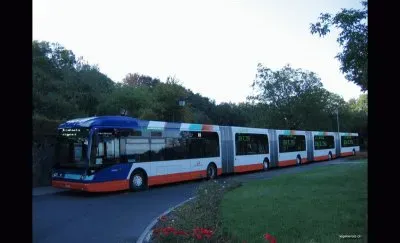 FaraÃ³n jigsaw puzzle