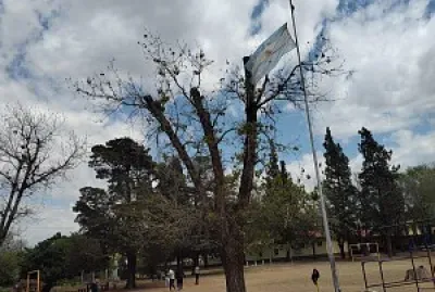 búsqueda del tesoro 1 jigsaw puzzle