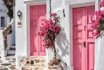 rosa