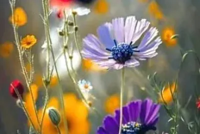 flores
