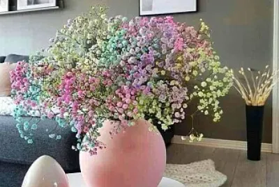 flores