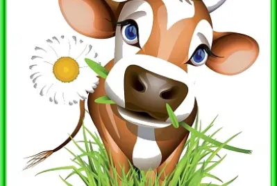Vache Marguerite