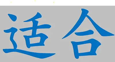 פאזל של 合适