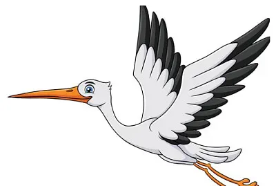 חסידה jigsaw puzzle