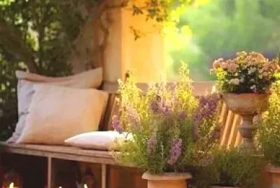 jardin