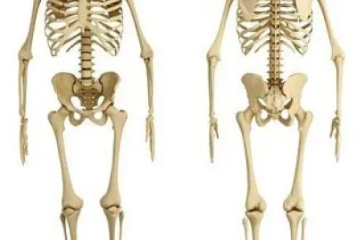 sirven para sostenernos