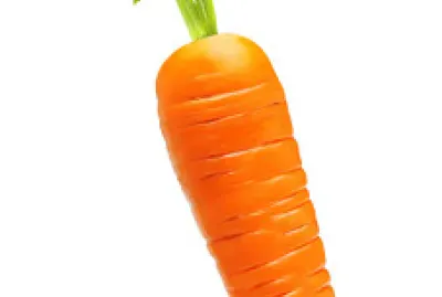 carota