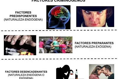 factores