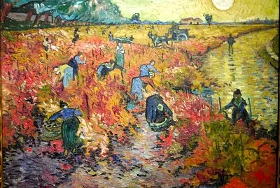Van Gogh arlésiennes dans les vignes